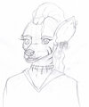 Poppy Headshot - Sketch