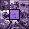 Edolie Mood Board - Sea Otter
