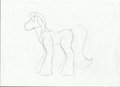 pony line art