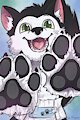 Paws!