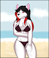 Beach Wolfie