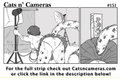 Cats n Cameras Strip 151 - Hey Sexy