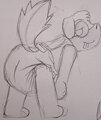 pamp butt so what by noahthebadger
