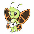 citra the butterfly
