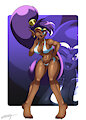 Shantae on a Bikini by EddySGH