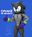Drake The Hedgehog - Update