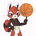 [$] Basketball Panda by Sp4c3Ch1nch1ll4
