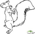 Posing Squirrel Sketch - 2006