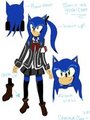 Sonic The Hedgehog- Yuuki Cross