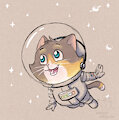 Cosmo the Space Cat