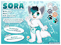 Sora's reference sheet! by Sorafox