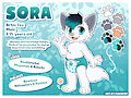 Sora's reference sheet!