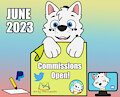 Commissions Open - June 2023!