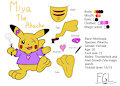 (OC Refs.) Miya The Pikachu