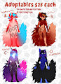 Adoptables for sale