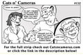 Cats n Cameras Strip 152 - Not so scared