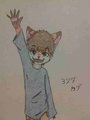 Foxie cub