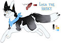 Luca The  Husky by DarkWolfKnight98