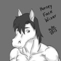 Horsey Face Wiser