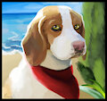 HB Beagle painting