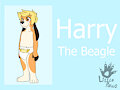 Harry the Beagle by DanielMania123
