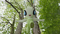 Celebi smush tiny