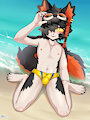 Aak Summer Swimsuit Briefs (Speedo) by Fusionxglave