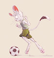 230426 3 soccer pawbs