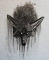 Dark Coyote by LostWolfSpirit