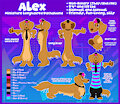 2023 Alex Dachshund Reference Sheet