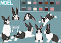 Noel the Bunny - Character Sheet by AlcosaurusRex