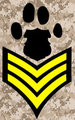 Sergeant <3