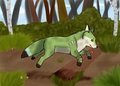 The Mysterious Green Fox