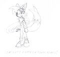 2006 Tails 3