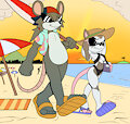 [C] Rodents at the Beach