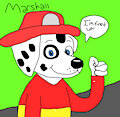 marshall pup