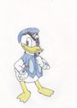Disney planet-Donald Duck