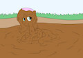 Mud pony Flutrershy