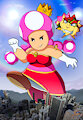 Princess Toadette's fun