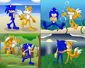 Sonic and Tails's Natural Summer Adventure