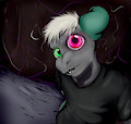 YOH o3o
