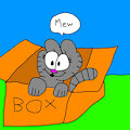 nermal inside a box
