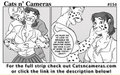 Cats n Cameras Strip 154 - Wrangling Sweater Hogs