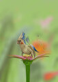 Ventus the cockatiel gryph (flower for scale)