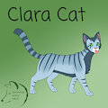 Clara Cat (Reference) by MaxeeBunBuns