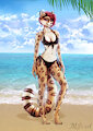 Bikini Contest by Balto