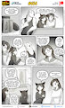 Cats n Cameras Strip 656 - I say neigh neigh