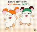 Happy birthday Hamtaro and Cappy! by pichu90