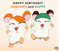 Happy birthday Hamtaro and Cappy!