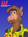 ALF [1]